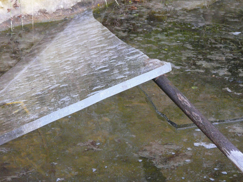 Il Laghetto del Centro di Entomologia - Piombino (LI)
